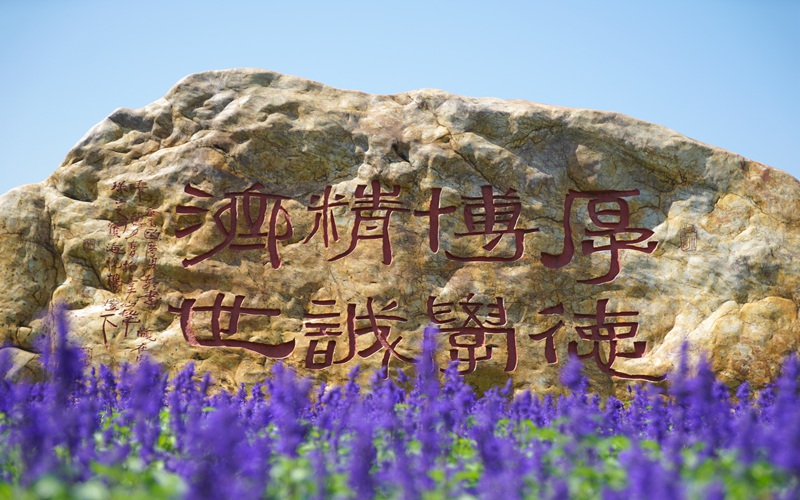 廣州中醫(yī)藥大學(xué)康復(fù)治療學(xué)（不招色盲色弱。）專業(yè)錄取分?jǐn)?shù)線【河南高考文科】