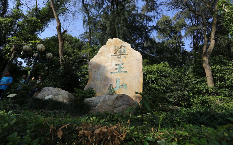 2023年廣州中醫(yī)藥大學(xué)在重慶招生專(zhuān)業(yè)及招生人數(shù)匯總(2024考生參考)