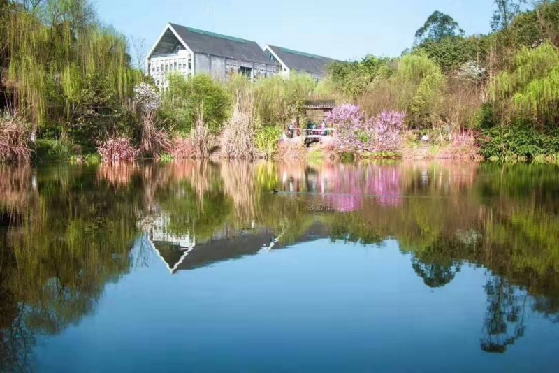 四川美術(shù)學院風景園林專業(yè)在重慶招生錄取分數(shù)(物理類)：510分