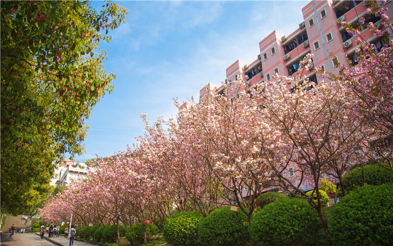 重慶郵電大學(xué)軟件工程（中外合作辦學(xué)）專業(yè)在河北招生錄取分?jǐn)?shù)(物理類)：553分