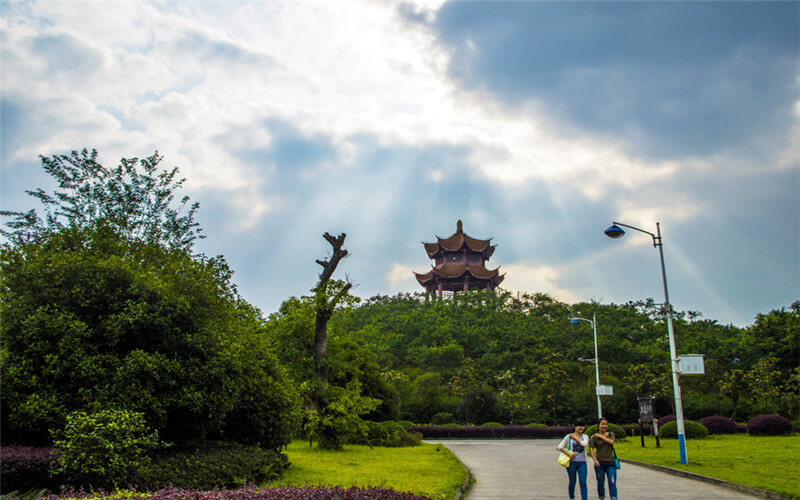 重慶師范大學(xué)教育學(xué)類專業(yè)在重慶招生錄取分?jǐn)?shù)(物理類)：535分