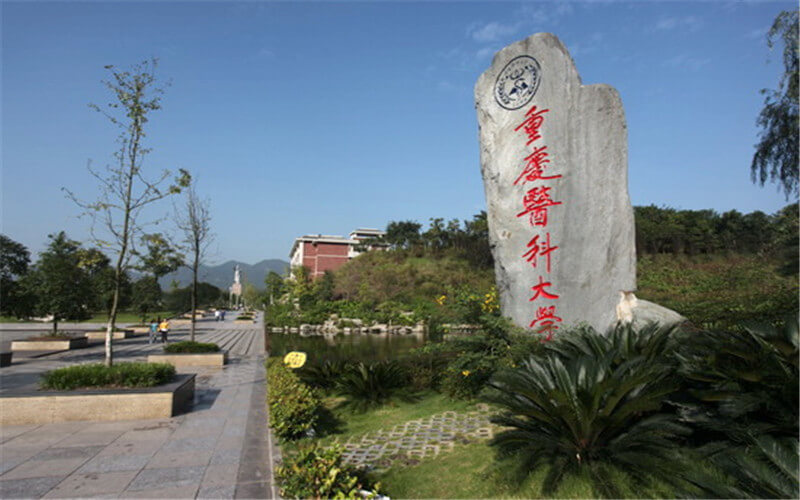 重慶醫(yī)科大學(xué)精神醫(yī)學(xué)（地方專項計劃）專業(yè)在重慶招生錄取分數(shù)(物理類)：568分