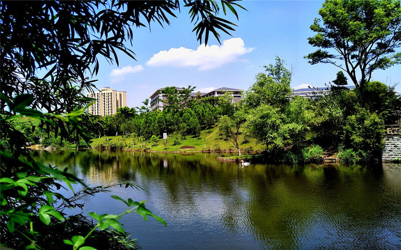 重慶能源職業(yè)學院嬰幼兒托育服務(wù)與管理專業(yè)在重慶招生錄取分數(shù)(物理類)：261分