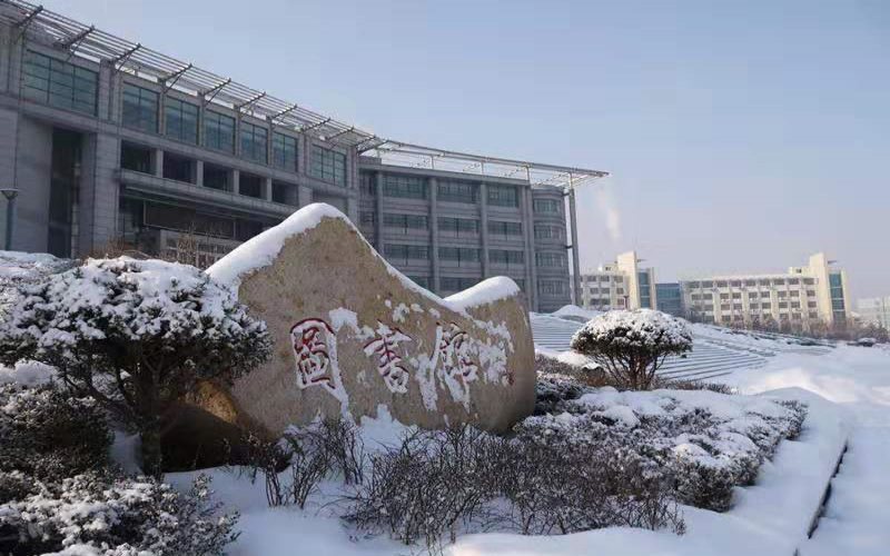 遼寧科技大學儲能科學與工程專業(yè)在河北招生錄取分數(shù)(物理類)：524分