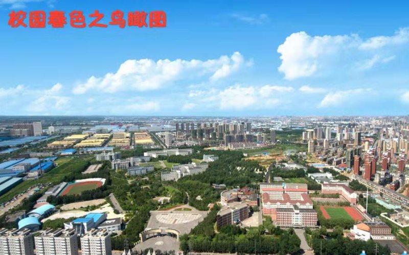 2024考生參考：2023沈陽化工大學(xué)國際經(jīng)濟與貿(mào)易專業(yè)在山東招生錄取分數(shù)及錄取位次