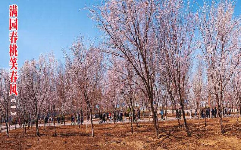 沈陽化工大學機械設(shè)計制造及其自動化專業(yè)錄取分數(shù)線【山東高考綜合】