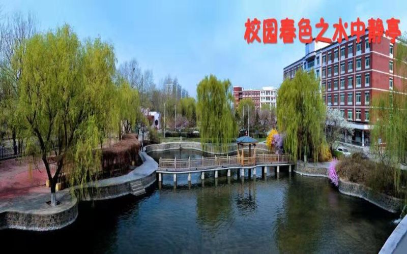 2023年沈陽化工大學(xué)在河南招生專業(yè)有哪些？學(xué)費(fèi)是多少？