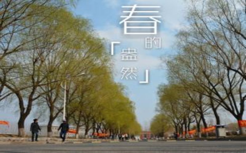 2023年遼寧工程職業(yè)學(xué)院在甘肅招生專業(yè)及招生人數(shù)匯總