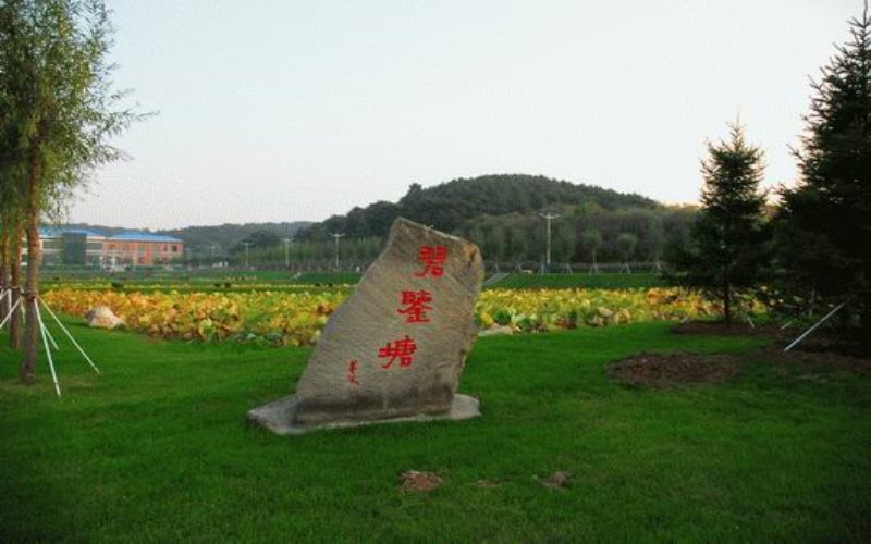 遼寧職業(yè)學(xué)院廣告藝術(shù)設(shè)計(jì)專業(yè)在遼寧招生錄取分?jǐn)?shù)(物理類)：341分