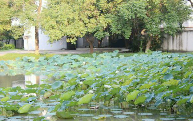 多少分可以上廣東警官學(xué)院？廣東警官學(xué)院2022年在江西各招生專業(yè)錄取分數(shù)匯總