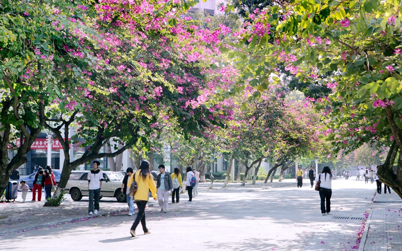 海南師范大學(xué)少數(shù)民族預(yù)科班專業(yè)錄取分?jǐn)?shù)線【海南高考綜合】