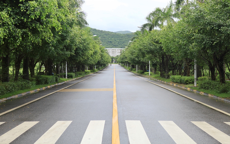 河北物理類考生排多少名可以上三亞學(xué)院風(fēng)景園林專業(yè)?