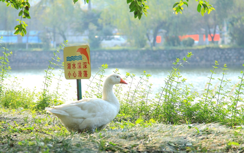 2023年東莞理工學(xué)院在河北招生專業(yè)及招生人數(shù)匯總