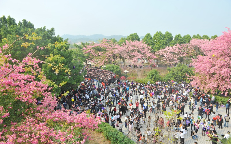 2024考生參考：2023廣州大學(xué)華軟軟件學(xué)院電子信息工程專業(yè)在重慶招生錄取分?jǐn)?shù)及錄取位次