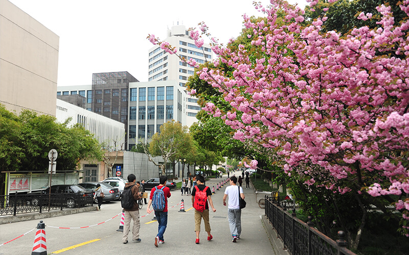 2023年東華大學(xué)在寧夏招生專業(yè)及招生人數(shù)匯總