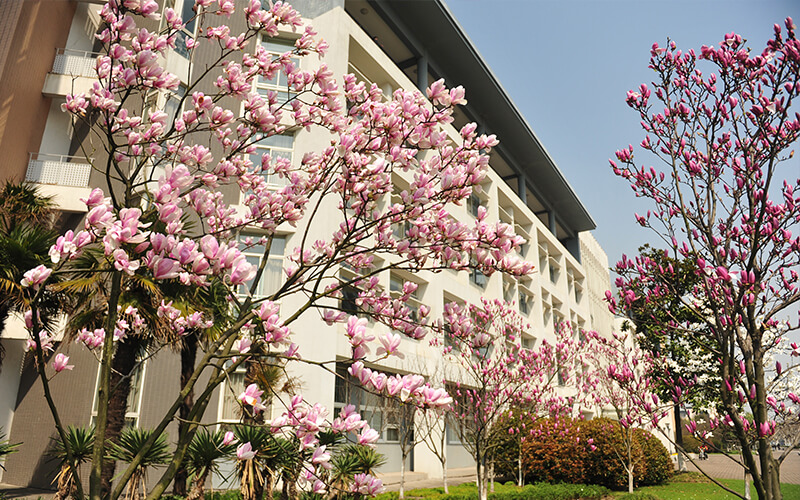 東華大學(xué)服裝設(shè)計與工程專業(yè)在內(nèi)蒙古招生錄取分?jǐn)?shù)(理科)：544分