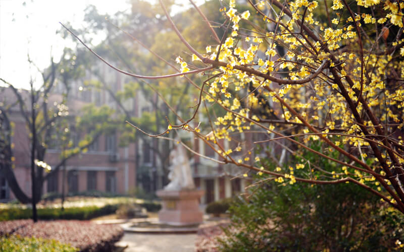 東華大學(xué)材料類（國(guó)家專項(xiàng)計(jì)劃）專業(yè)在內(nèi)蒙古招生錄取分?jǐn)?shù)(理科)：539分