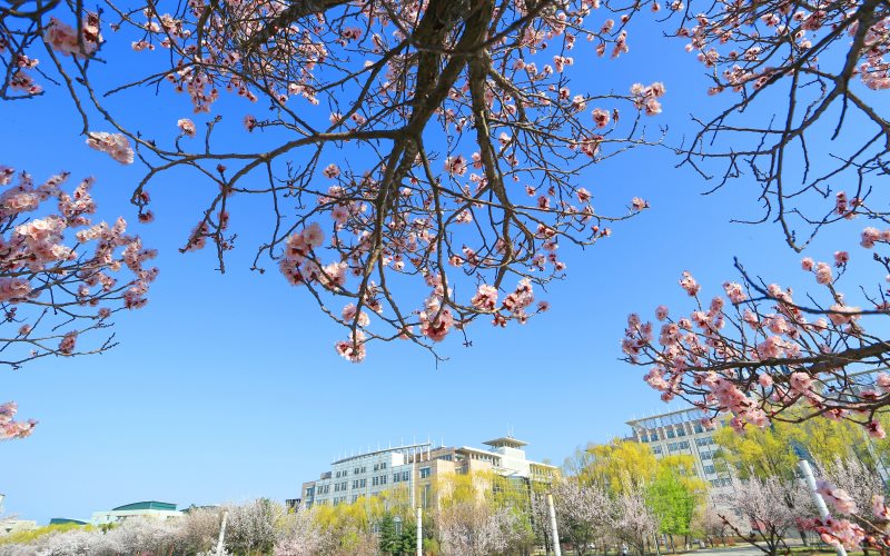 山東綜合考生排多少名可以上吉林大學地質(zhì)類專業(yè)?