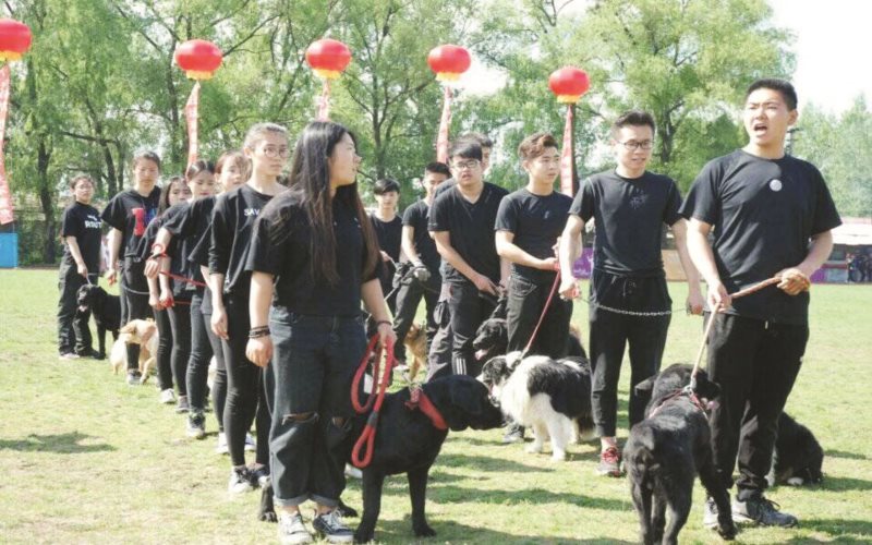 2023年河北考生多少分可以上吉林農(nóng)業(yè)科技學(xué)院數(shù)據(jù)科學(xué)與大數(shù)據(jù)技術(shù)專(zhuān)業(yè)？