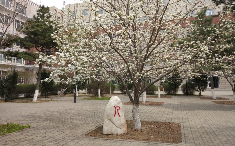 遼寧物理類考生排多少名可以上長(zhǎng)春工業(yè)大學(xué)人文信息學(xué)院物流管理專業(yè)?