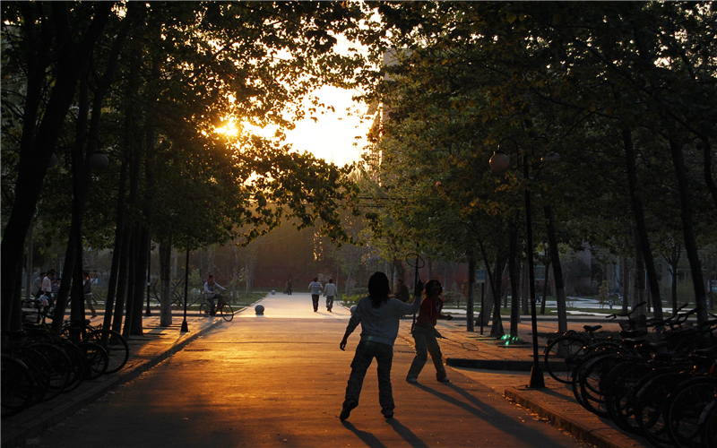 河南師范大學工商管理類專業(yè)在浙江招生么？多少分可以上？