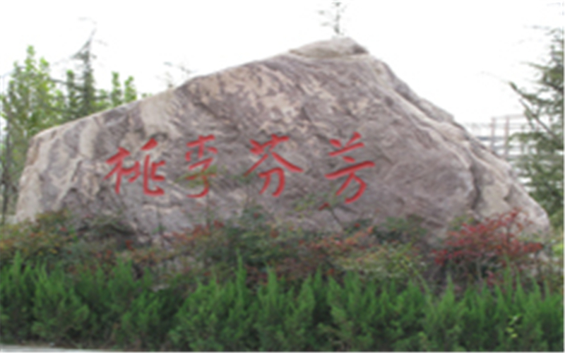 河南中醫(yī)藥大學(xué)康復(fù)治療學(xué)專業(yè)在浙江招生錄取分?jǐn)?shù)(綜合)：572分