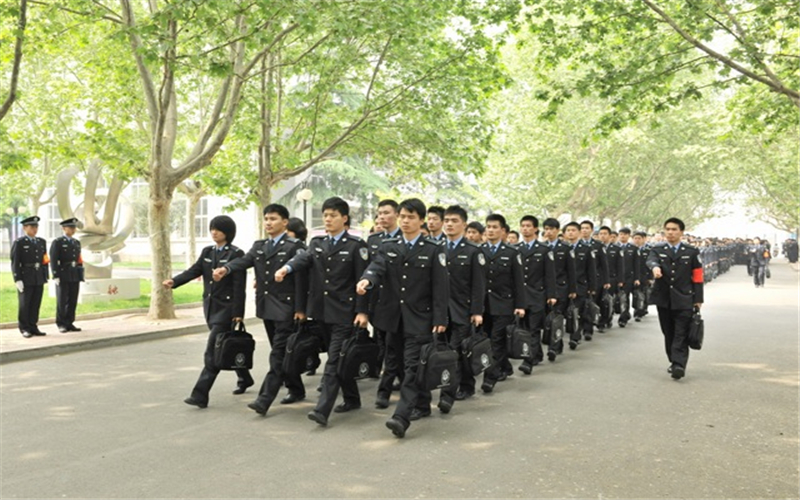 鐵道警察學(xué)院刑事科學(xué)技術(shù)（一）專業(yè)在內(nèi)蒙古招生錄取分?jǐn)?shù)(理科)：494分