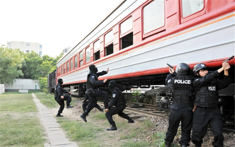 鐵道警察學(xué)院治安學(xué)（城軌安全與執(zhí)法方向）專業(yè)在內(nèi)蒙古招生錄取分?jǐn)?shù)(理科)：499分