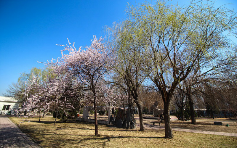 天津理工大學(xué)中環(huán)信息學(xué)院電氣工程及其自動化專業(yè)在山東招生么？多少分可以上？