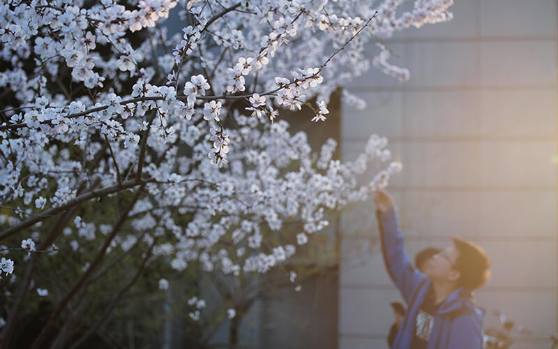 中國人民大學(xué)理科試驗(yàn)班專業(yè)錄取分?jǐn)?shù)線【山東高考綜合】