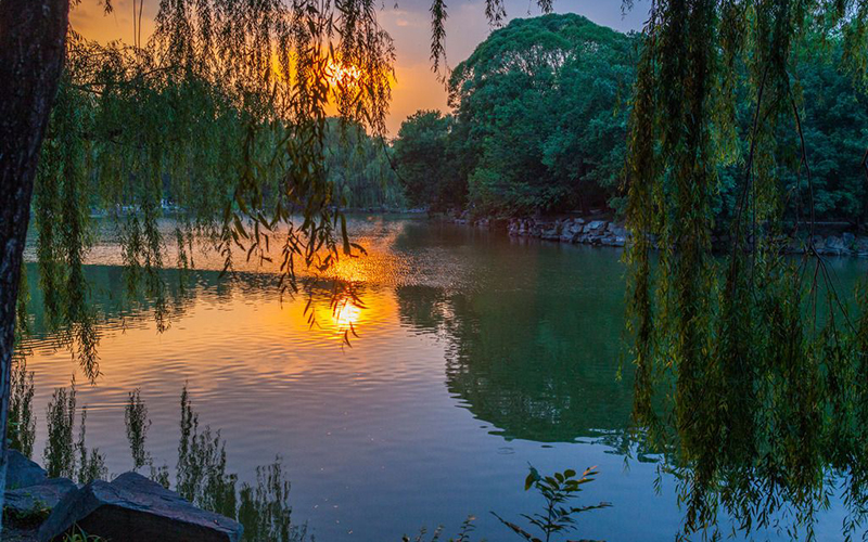 北京大學(xué)新聞傳播學(xué)類專業(yè)錄取分數(shù)線【陜西高考文科】