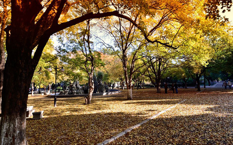 山東大學管理科學與工程類專業(yè)錄取分數(shù)線【江西高考理科】