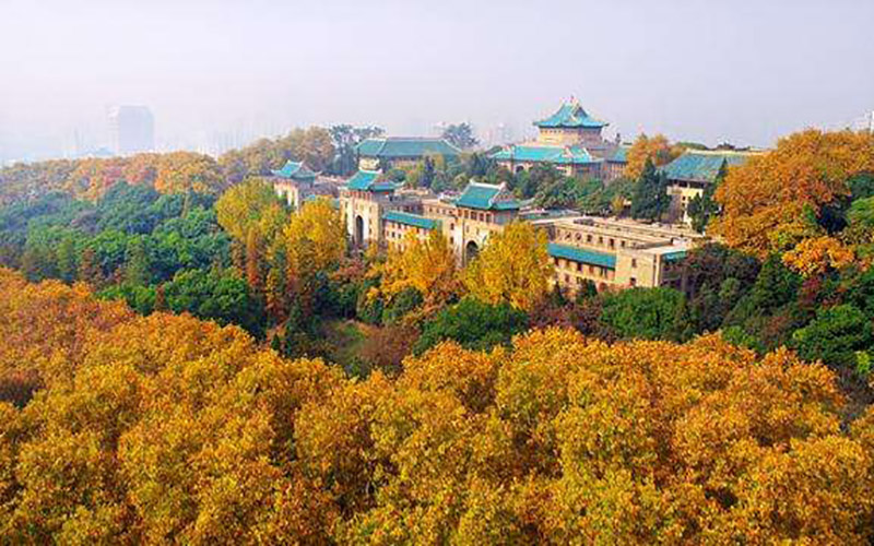 武漢大學社會學（知行試驗班）專業(yè)在河北招生錄取分數(shù)(歷史類)：634分