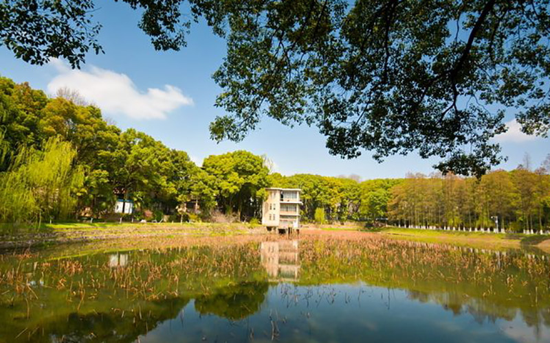 山東綜合考生排多少名可以上華中科技大學材料類專業(yè)?