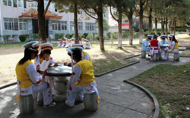 大理農(nóng)林職業(yè)技術(shù)學(xué)院食品生物技術(shù)專業(yè)錄取分?jǐn)?shù)線【重慶高考物理類】