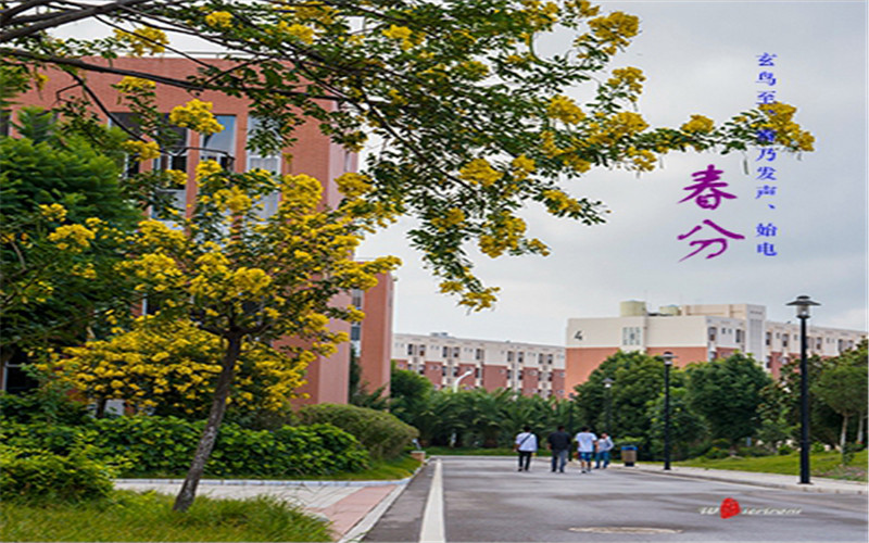 2022年昆明醫(yī)科大學(xué)在湖南招生專業(yè)及招生人數(shù)匯總（2023考生參考）