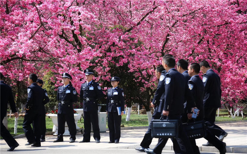 多少分可以上云南警官學院？云南警官學院2022年在廣西各招生專業(yè)錄取分數匯總