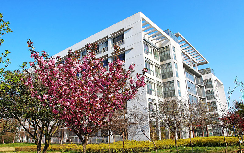 安徽財經(jīng)大學法學專業(yè)錄取分數(shù)線【江蘇高考物理類】