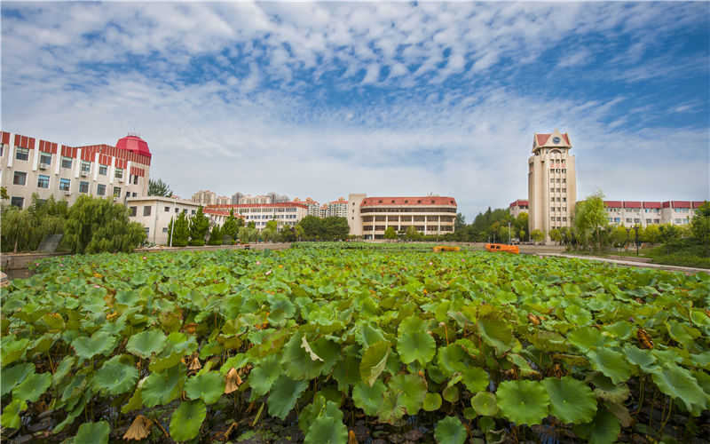 2024考生參考：2023煙臺(tái)大學(xué)核工程與核技術(shù)專(zhuān)業(yè)在內(nèi)蒙古招生錄取分?jǐn)?shù)及錄取位次