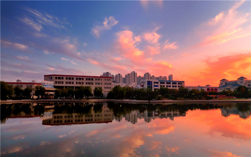 煙臺大學國際經(jīng)濟與貿(mào)易專業(yè)在山東招生錄取分數(shù)(綜合)：528分