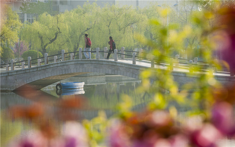 2023年煙臺大學(xué)在浙江招生專業(yè)有哪些？學(xué)費是多少？