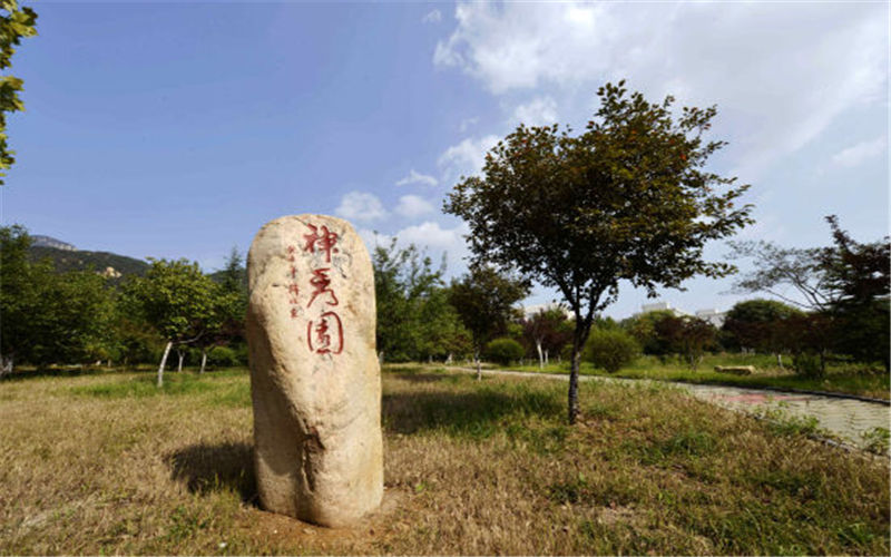 山東綜合考生排多少名可以上泰山學(xué)院地理科學(xué)（師范類）專業(yè)?