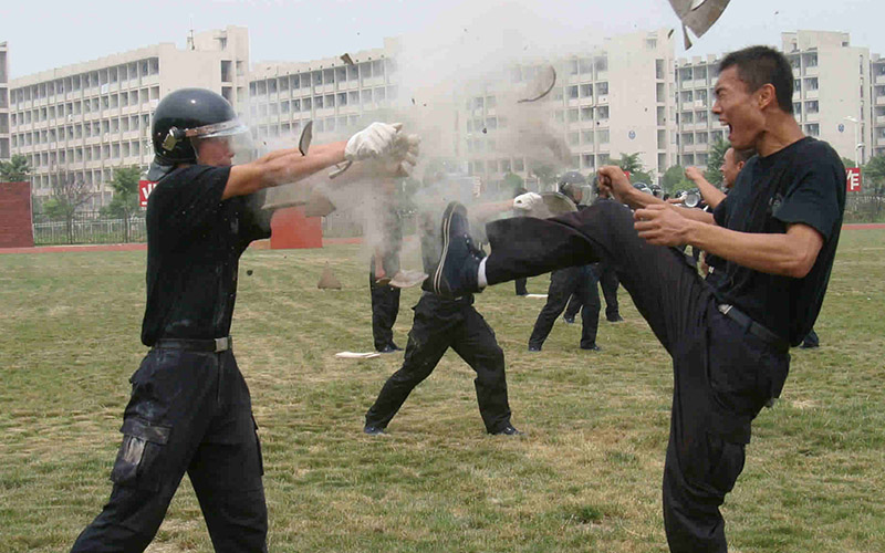 內(nèi)蒙古文科考生排多少名可以上南京森林警察學(xué)院警務(wù)指揮與戰(zhàn)術(shù)（特警方向、男、面向地方公安就業(yè)）（一）專業(yè)?