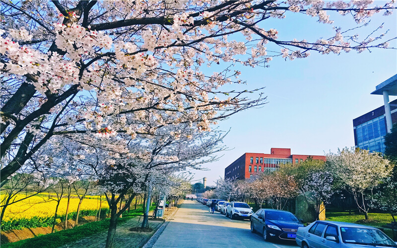 多少分可以上武漢城市學(xué)院？武漢城市學(xué)院2022年在內(nèi)蒙古各招生專業(yè)錄取分?jǐn)?shù)匯總