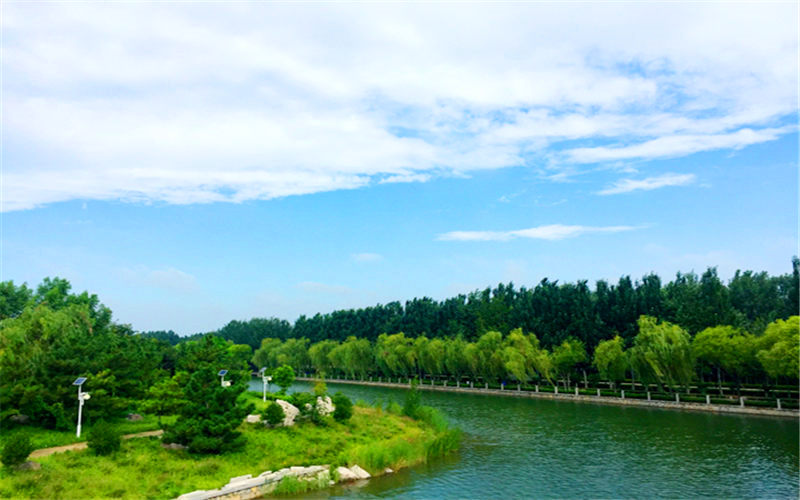 山東綜合考生排多少名可以上山東科技職業(yè)學(xué)院大數(shù)據(jù)與會(huì)計(jì)專業(yè)?