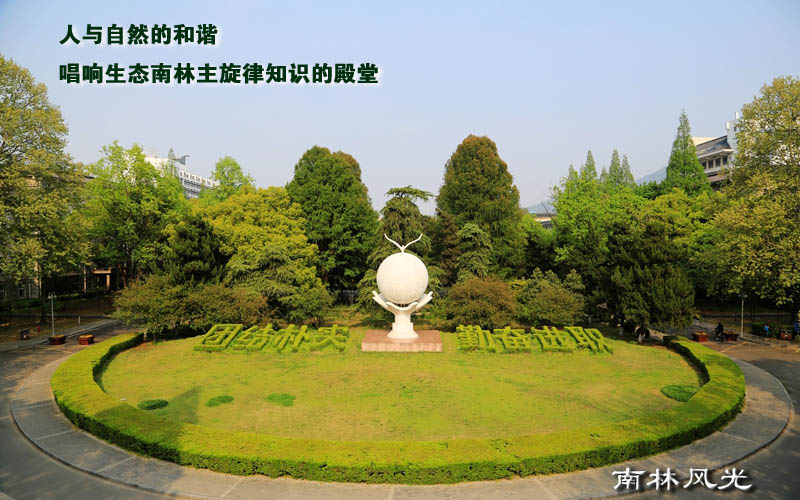 南京林業(yè)大學(xué)風(fēng)景園林專業(yè)錄取分?jǐn)?shù)線【浙江高考綜合】