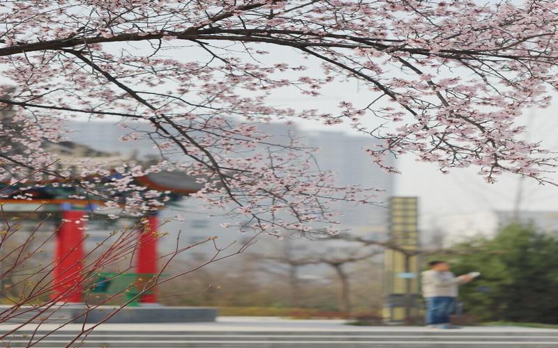 西安工業(yè)大學智能制造工程專業(yè)錄取分數(shù)線【遼寧高考物理類】