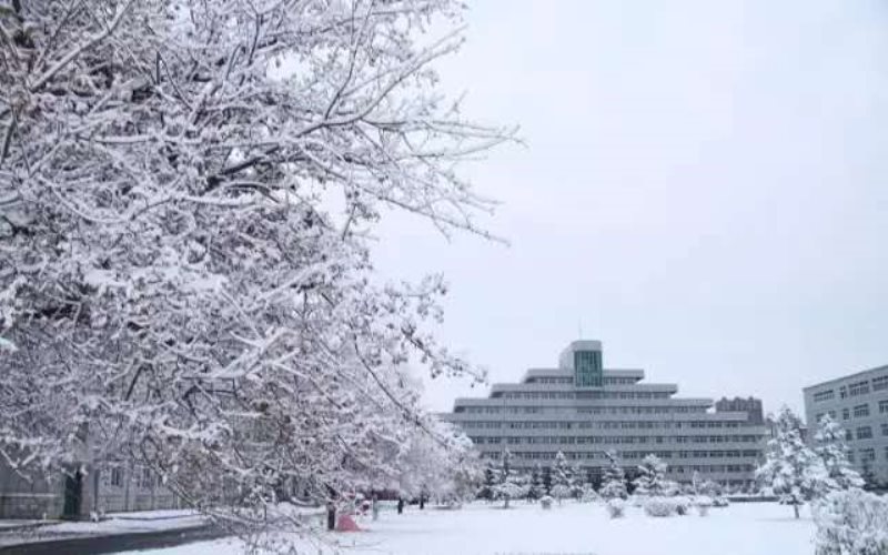 多少分可以上遼寧建筑職業(yè)學(xué)院？遼寧建筑職業(yè)學(xué)院2022年在甘肅各招生專業(yè)錄取分?jǐn)?shù)匯總