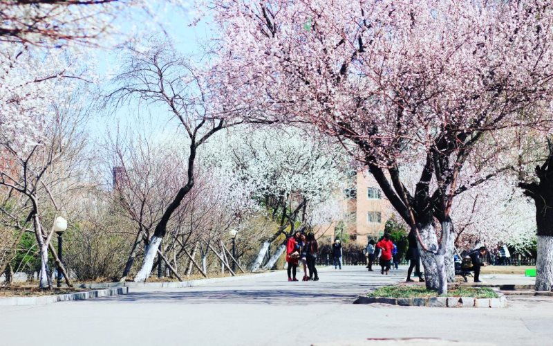 浙江綜合考生排多少名可以上沈陽藥科大學(xué)環(huán)境科學(xué)專業(yè)?