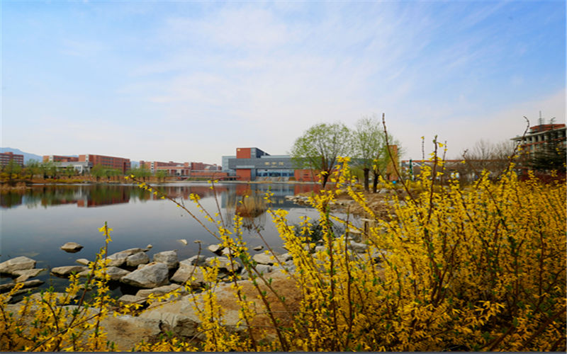 山東綜合考生排多少名可以上山東城市建設(shè)職業(yè)學(xué)院大數(shù)據(jù)與財(cái)務(wù)管理專業(yè)?